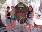 Little Free Library