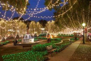Orlando Christmas lights: image of white lights in downtown Mount Dora