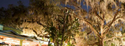 Movies in Orlando: image of Enzian Theater in Maitland