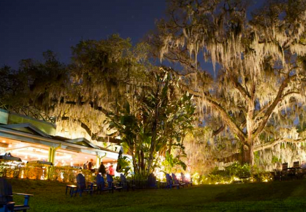 Movies in Orlando: image of Enzian Theater in Maitland