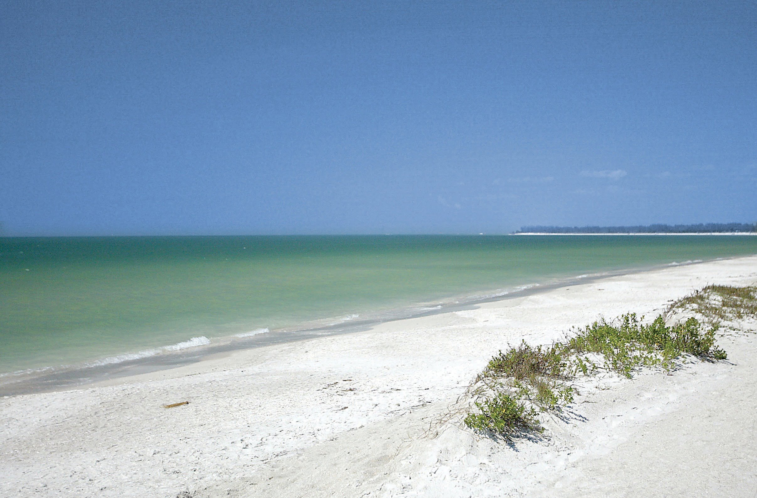 Best Beaches Near Orlando Florida - dyw8cm9