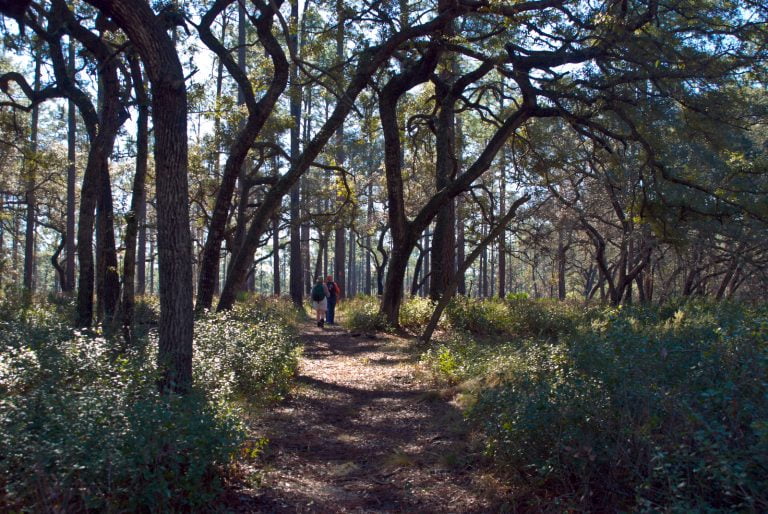 Hiking trails near Orlando