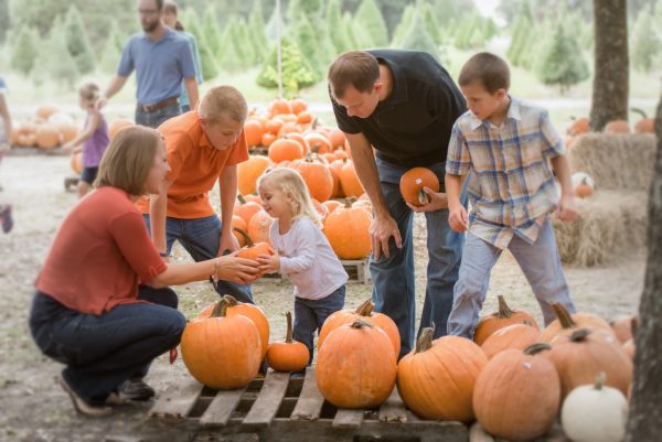 Orlando pumpkin patches: image of family picking pumpkins at Santa's Farm in Eustis, Florida.