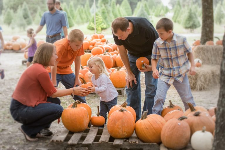 Orlando Pumpkin Patches: image of family picking pumpkins at Santa's Farm in Eustis, FL