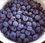 Orlando farms: image of freshly picked blueberries