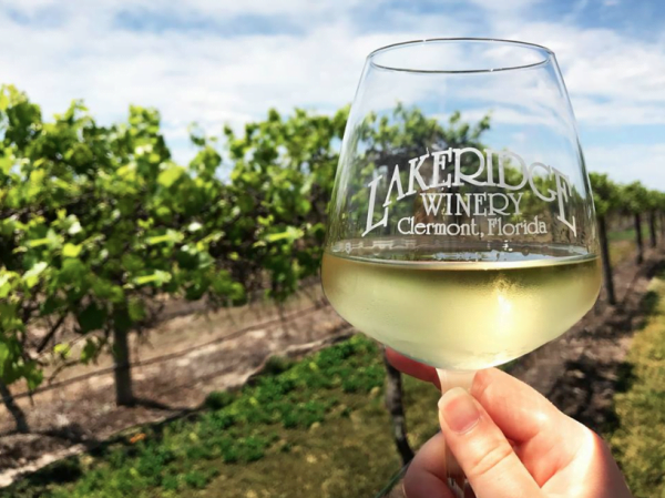 Lakeridge Winery free tours - image of Lakeridge wine glass