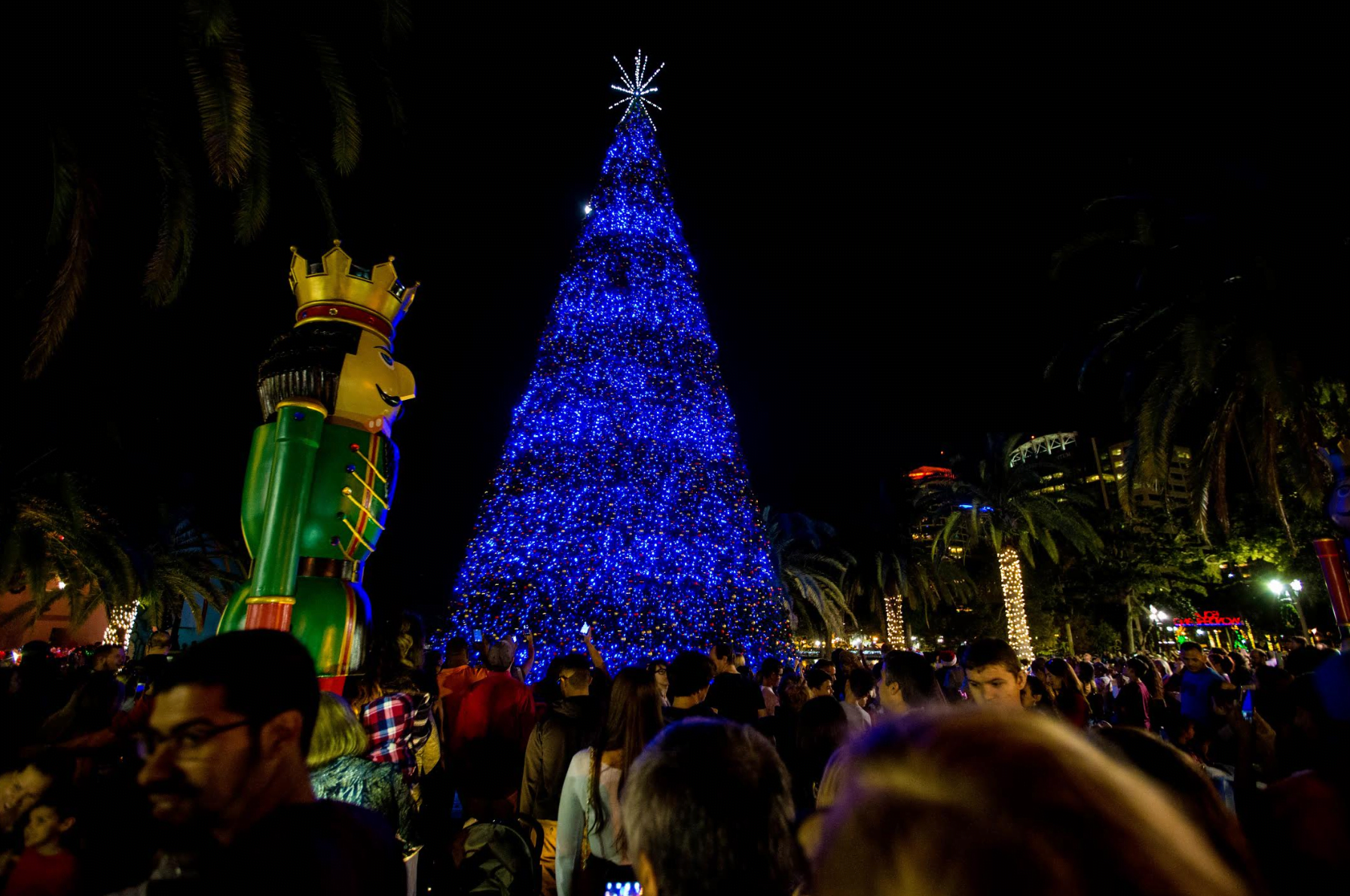 Tree lighting: image of Christmas tree lighting ceremony in downtown Orlando