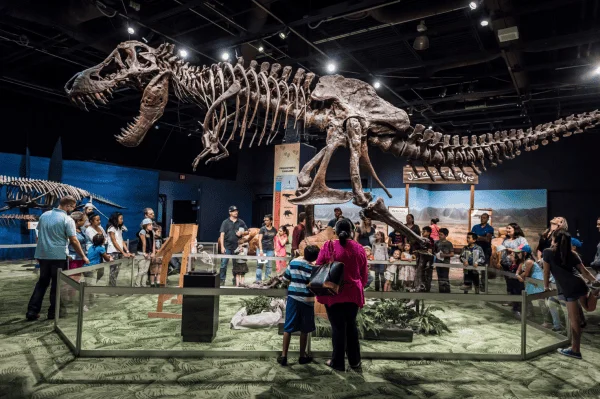$10 Day at Orlando Science Center: image of people looking at T-Rex skeleton