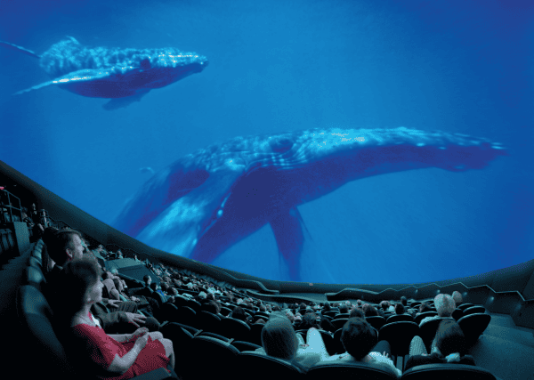 Orlando Science Center: image of people watching a film featuring big whales