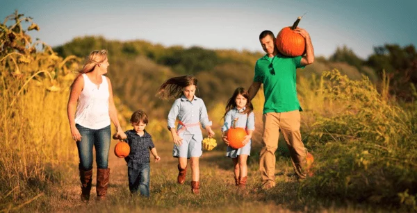 Orlando pumpkin patches and corn mazes: image of family picking pumpkins at Lake Catherine