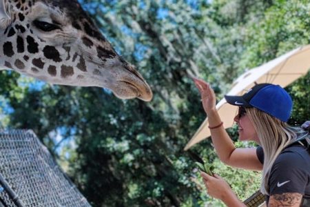 Cheap things to do in Orlando: image of a woman feeding at giraffe at the Central Florida Zoo in Sanford, Florida