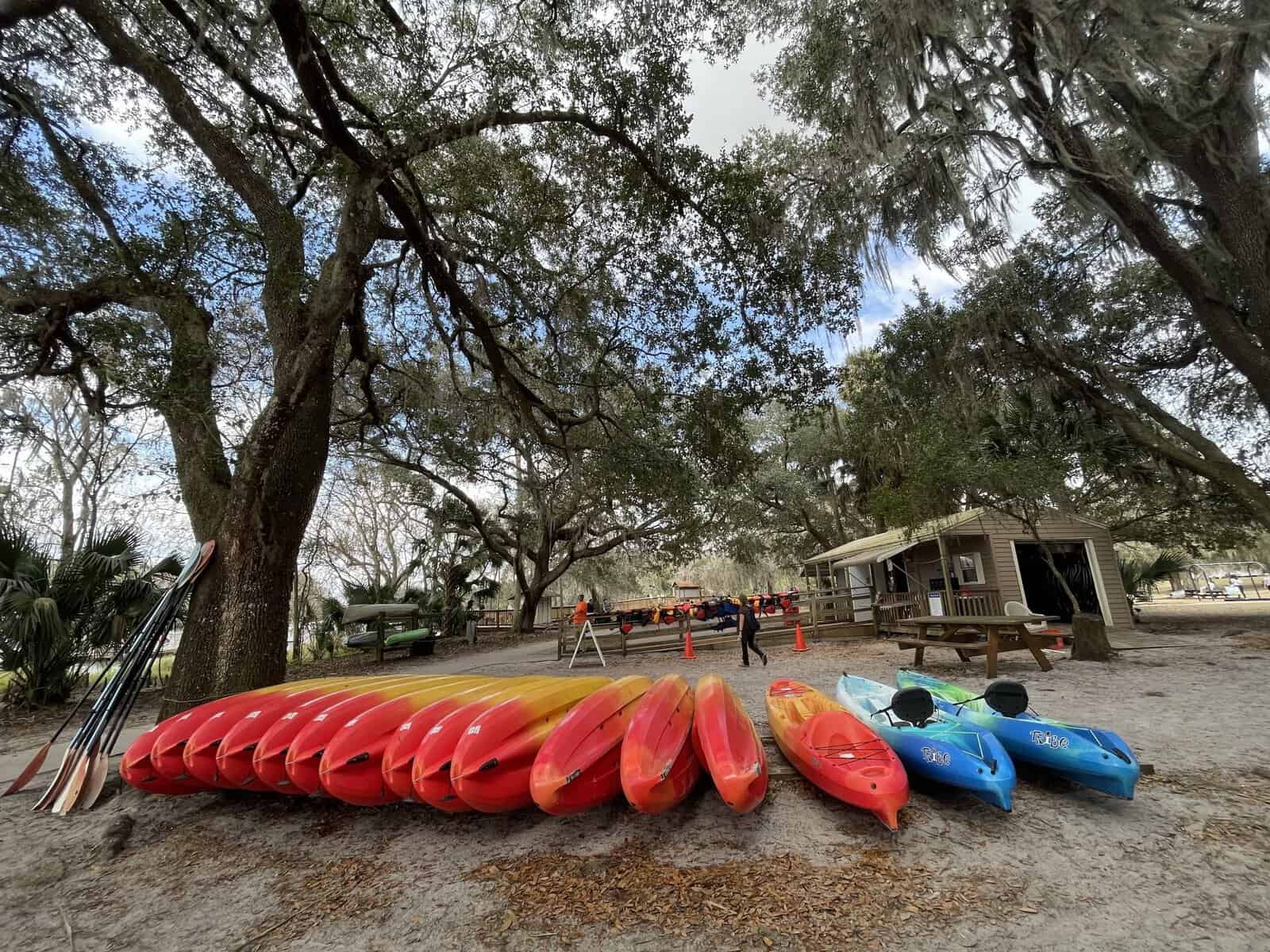 Blue Spring State Park: image of kayaks you can rent to see the manatees swim or explore St. Johns River