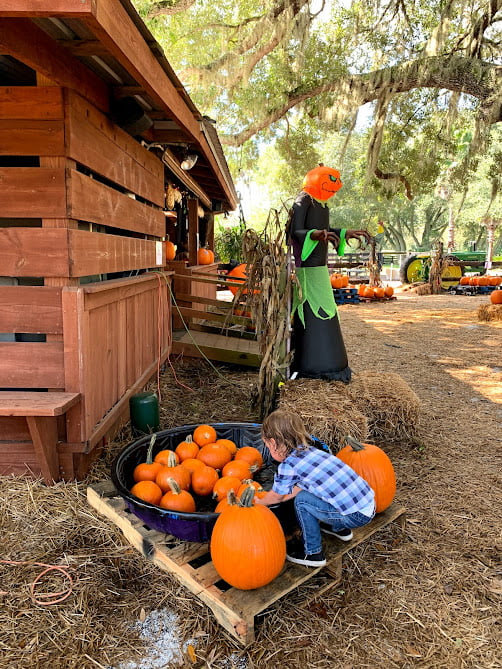 Orlando fall festivals