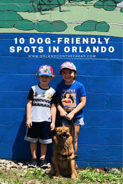 Top 10 dog-friendly spots in Orlando: image of two kids and their dog in Orlando