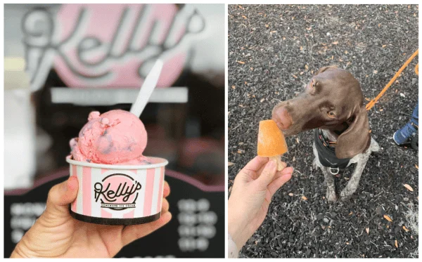 Best places to bring your dog in Orlando: images of ice cream and dog-friendly ice cream at Kelly's Ice Cream in Orlando, Florida