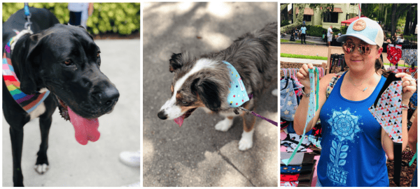 Places to take your dog in Orlando: images of dogs enjoying Orlando parks
