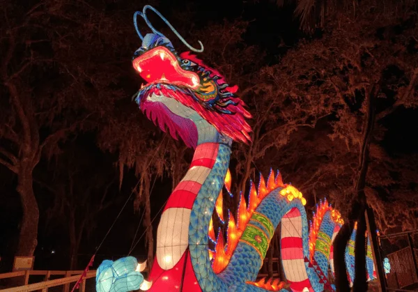 Holiday events and things to do Orlando: image of a large dragon light display at Central Florida Zoo & Botanical Gardens in Sanford