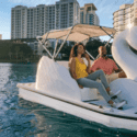 Romantic things to do Orlando: rent swan boats at Lake Eola in downtown Orlando