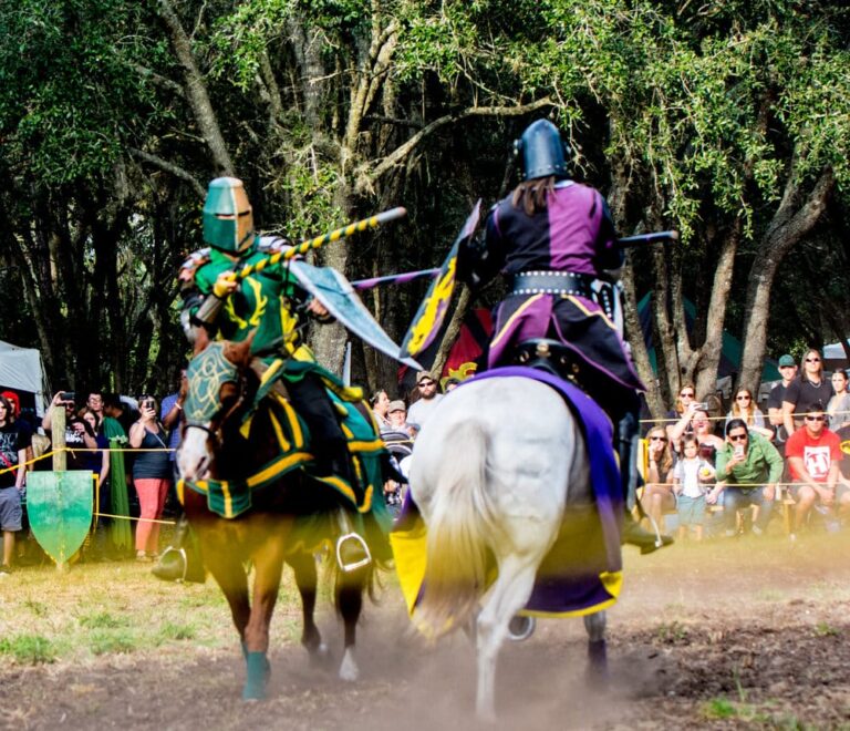 Save on Lady of the Lakes Renaissance Faire Tickets