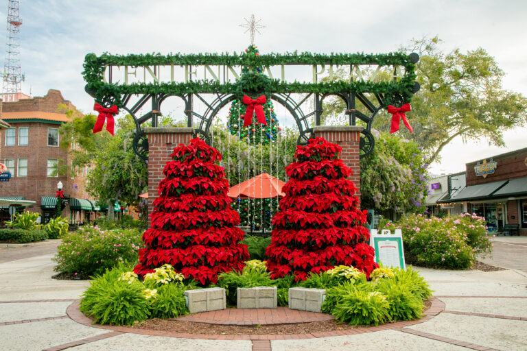 Free and Cheap Holiday Magic in Winter Garden