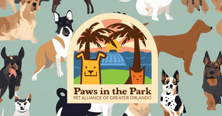 Paws in the Park Pet Festival