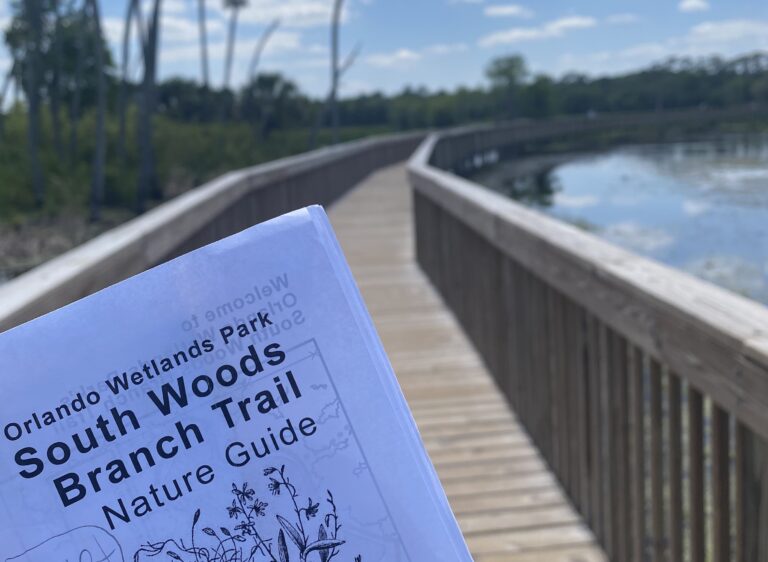 Orlando Wetlands Free Tours and Events