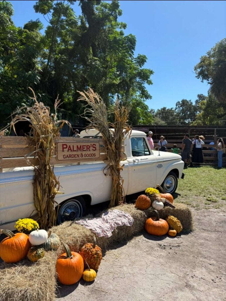 Fall on the Farm at Palmer's Feed and Seed